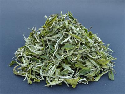 Organic White Tea Pai Mu Tan